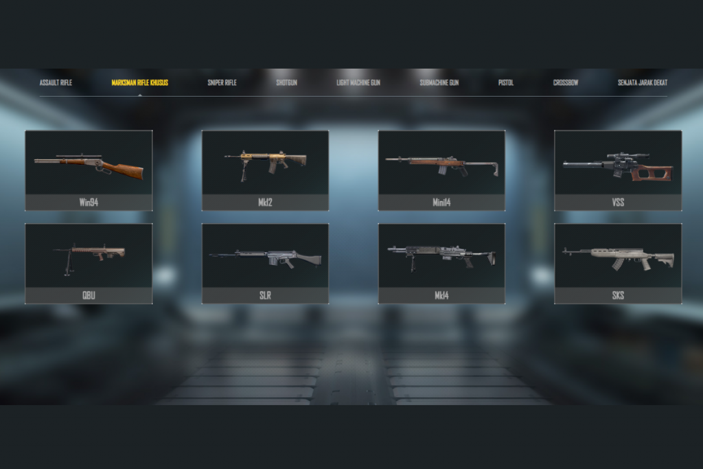 senjata PUBG DMR